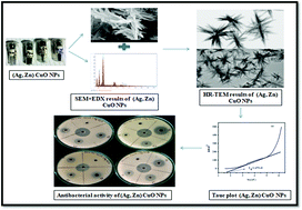 Graphical abstract: Effect of (Ag, Zn) co-doping on structural, optical and bactericidal properties of CuO nanoparticles synthesized by a microwave-assisted method