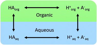 Graphical abstract: Measurements of the partitioning of nitric acid and sulfuric acid in aqueous/organic phase-separated systems