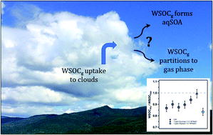 Graphical abstract: Investigating the evolution of water-soluble organic carbon in evaporating cloud water