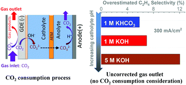 Graphical abstract: Insights into the carbon balance for CO2 electroreduction on Cu using gas diffusion electrode reactor designs