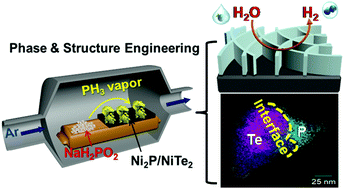 Graphical abstract: Phosphine vapor-assisted construction of heterostructured Ni2P/NiTe2 catalysts for efficient hydrogen evolution