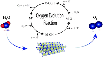 Graphical abstract: Towards a generic understanding of oxygen evolution reaction kinetics in polymer electrolyte water electrolysis