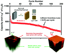 Graphical abstract: Lithium degradation in lithium–sulfur batteries: insights into inventory depletion and interphasial evolution with cycling