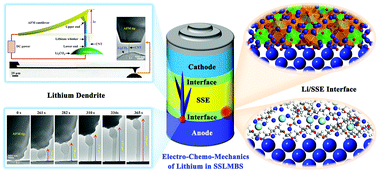 Graphical abstract: Electro-chemo-mechanics of lithium in solid state lithium metal batteries