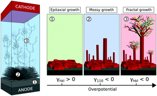 Graphical abstract: Thermodynamic origin of dendrite growth in metal anode batteries