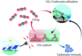 Graphical abstract: Electrochemical carbon dioxide capture to close the carbon cycle