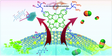 Graphical abstract: Bifunctional single-molecular heterojunction enables completely selective CO2-to-CO conversion integrated with oxidative 3D nano-polymerization