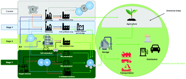 Graphical abstract: Can sustainable ammonia synthesis pathways compete with fossil-fuel based Haber–Bosch processes?