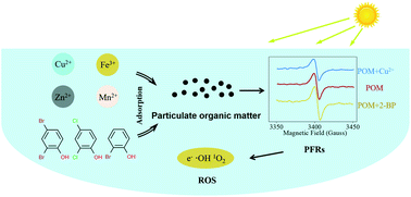 Graphical abstract: Photoformation of persistent free radicals on a montmorillonite-humic acid complex simulated as particulate organic matter in an aqueous solution
