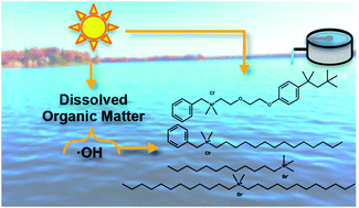 Graphical abstract: Photochemical fate of quaternary ammonium compounds in river water