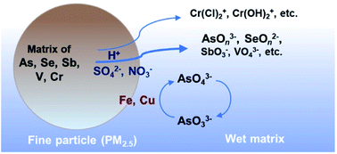 Graphical abstract: Determination of oxoanions and water-soluble species of arsenic, selenium, antimony, vanadium, and chromium eluted in water from airborne fine particles (PM2.5): effect of acid and transition metal content of particles on heavy metal elution