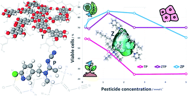 Graphical abstract: Modulation of cytotoxicity by consecutive adsorption of tannic acid and pesticides on surfactant functionalized zeolites