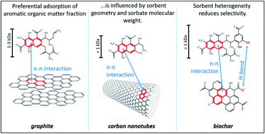 Graphical abstract: The importance of aromaticity to describe the interactions of organic matter with carbonaceous materials depends on molecular weight and sorbent geometry