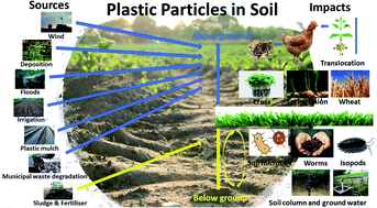 Graphical abstract: Plastic particles in soil: state of the knowledge on sources, occurrence and distribution, analytical methods and ecological impacts