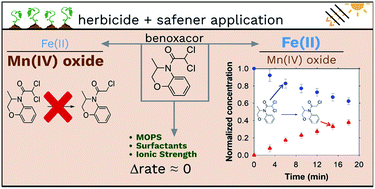 Graphical abstract: Reductive transformations of dichloroacetamide safeners: effects of agrochemical co-formulants and iron oxide + manganese oxide binary-mineral systems