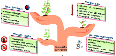Graphical abstract: Recent advances in the applications of nano-agrochemicals for sustainable agricultural development