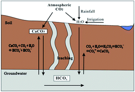 Graphical abstract: Hydrogeochemical characterization of a possible carbon sink from shallow saline–alkaline groundwater in the eastern Hetao Basin of Inner Mongolia in China