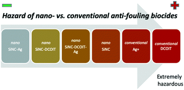 Graphical abstract: Hazard of novel anti-fouling nanomaterials and biocides DCOIT and silver to marine organisms