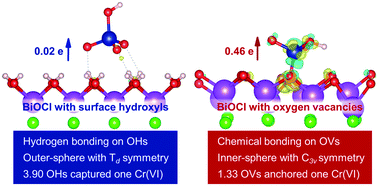 Graphical abstract: The surface hydroxyl and oxygen vacancy dependent Cr(vi) adsorption performance of BiOCl
