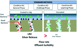 Graphical abstract: Performance of silver nanoparticle-impregnated ovoid ceramic water filters