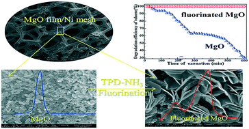 Graphical abstract: Catalytic activity and mechanism of fluorinated MgO film supported on 3D nickel mesh for ozonation of gaseous toluene