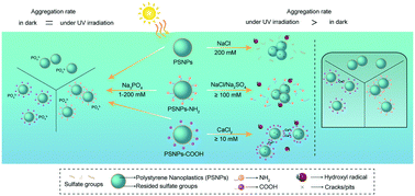 Graphical abstract: UV-induced aggregation of polystyrene nanoplastics: effects of radicals, surface functional groups and electrolyte
