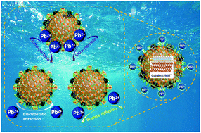 Graphical abstract: 3D hierarchical defect-rich C@MoS2 nanosheet arrays developed on montmorillonite with enhanced performance in Pb(ii) removal