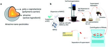 Graphical abstract: Interaction between a nano-formulation of atrazine and rhizosphere bacterial communities: atrazine degradation and bacterial community alterations
