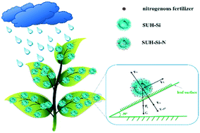 Graphical abstract: Improving the utilization rate of foliar nitrogen fertilizers by surface roughness engineering of silica spheres
