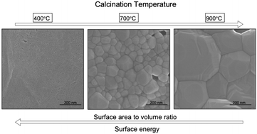 Graphical abstract: Effect of calcination temperature on neptunium dioxide microstructure and dissolution