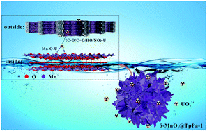 Graphical abstract: The fabrication of 3D hierarchical flower-like δ-MnO2@COF nanocomposites for the efficient and ultra-fast removal of UO22+ ions from aqueous solution