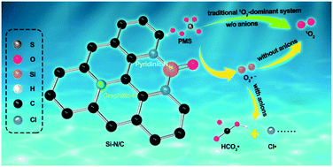 Graphical abstract: A unique Si-doped carbon nanocatalyst for peroxymonosulfate (PMS) activation: insights into the singlet oxygen generation mechanism and the abnormal salt effect