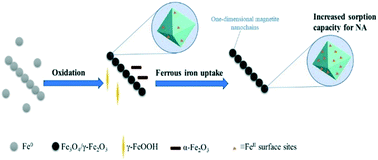 Graphical abstract: Adsorption capacity of the corrosion products of nanoscale zerovalent iron for emerging contaminants