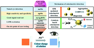 Graphical abstract: Recent advances in the application of noble metal nanoparticles in colorimetric sensors for lead ions