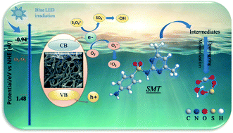Graphical abstract: One-step synthesis of carbon nitride nanobelts for the enhanced photocatalytic degradation of organic pollutants through peroxydisulfate activation