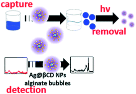 Graphical abstract: Plasmonic hydrogels for capture, detection and removal of organic pollutants