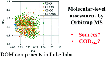Graphical abstract: Application of Orbitrap mass spectrometry to investigate seasonal variations of dissolved organic matter composition in a eutrophic lake in Japan