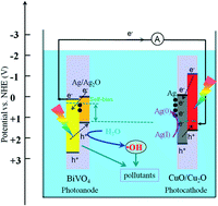 Graphical abstract: Degradation of organics with simultaneous recovery of silver in a simple visible-light responsive dual photoelectrode photocatalytic fuel cell