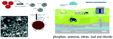 Graphical abstract: Removal of contaminants from canal water using microwave synthesized zero valent iron nanoparticles
