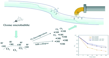 Graphical abstract: Enhanced degradation of atrazine by microbubble ozonation