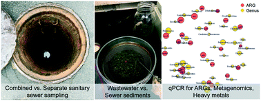 Graphical abstract: Factors associated with elevated levels of antibiotic resistance genes in sewer sediments and wastewater