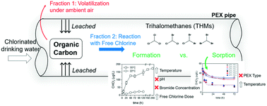 Graphical abstract: Formation and sorption of trihalomethanes from cross-linked polyethylene pipes following chlorinated water exposure