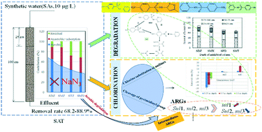 Graphical abstract: Removal trends of sulfonamides and their ARGs during soil aquifer treatment and subsequent chlorination: effect of aerobic and anaerobic biodegradation