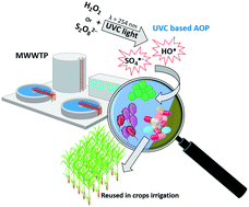 Graphical abstract: UVC-based advanced oxidation processes for simultaneous removal of microcontaminants and pathogens from simulated municipal wastewater at pilot plant scale