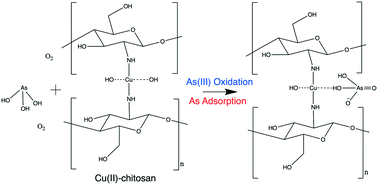 Graphical abstract: Aerobic oxidation of arsenite to arsenate by Cu(ii)–chitosan/O2 in Fenton-like reaction, a XANES investigation