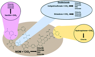Graphical abstract: Reaction of chlorine dioxide with organic matter – formation of inorganic products