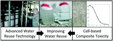 Graphical abstract: Composite toxicity assays for enhanced assessment of decentralized potable reuse systems