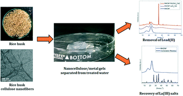 Graphical abstract: Rice husk based nanocellulose scaffolds for highly efficient removal of heavy metal ions from contaminated water