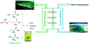 Graphical abstract: Synergistic effect of amino-acids and metal salts as draw solutions to enhance the performance of fertilizer-drawn forward osmosis