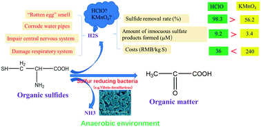 Graphical abstract: A comparative study on sulfide removal by HClO and KMnO4 in drinking water